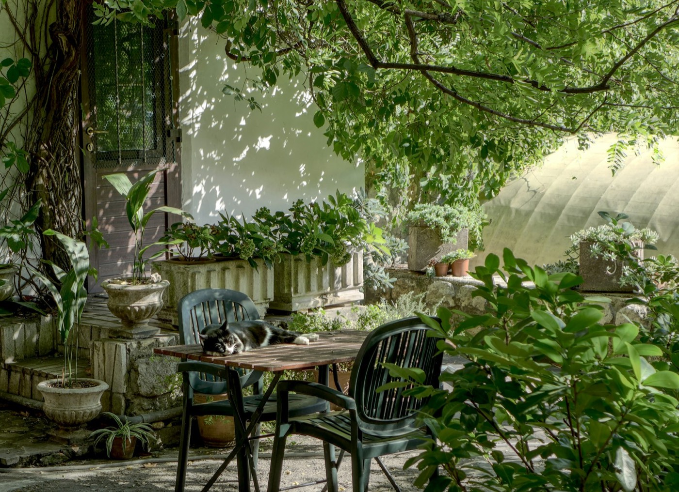 Rez-de-jardin à Marseille 8e : un actif patrimonial recherché
